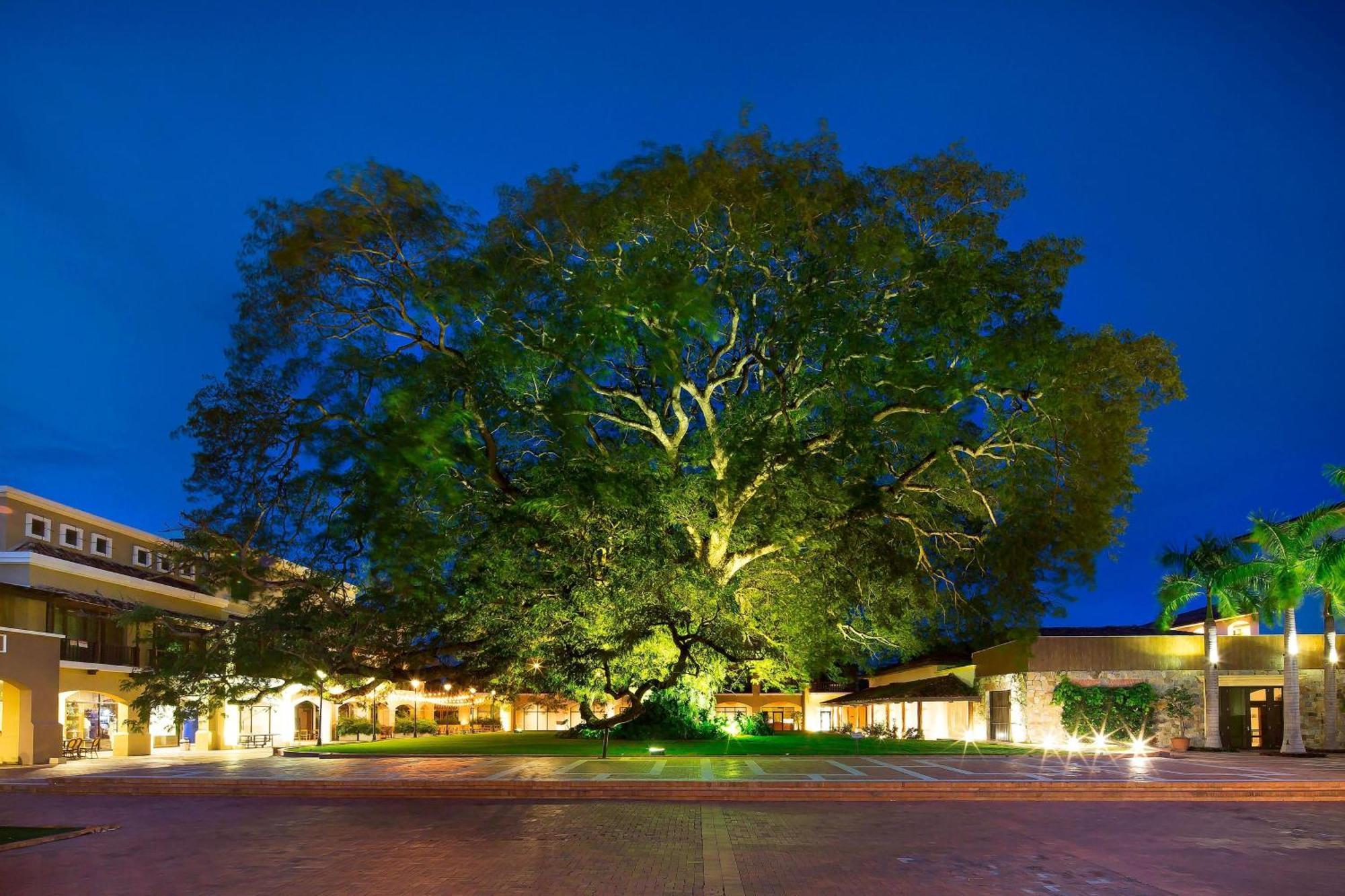 The Buenaventura Golf & Beach Resort, Autograph Collection Río Hato Exteriör bild